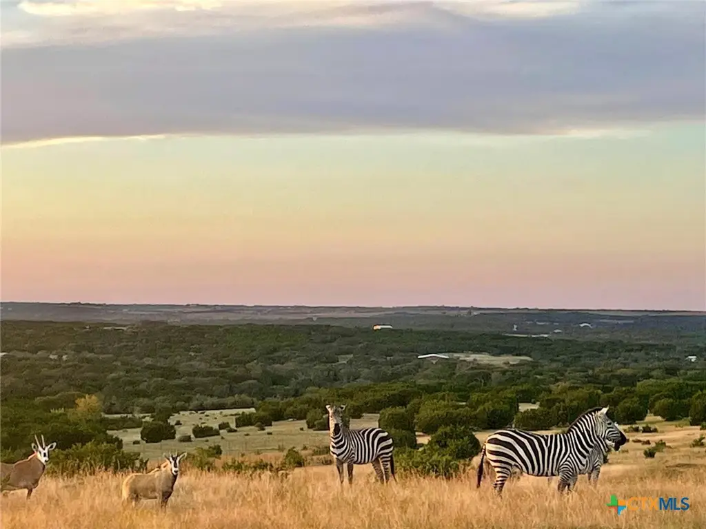 Tract 2 County Road 208, Lampasas, TX 76550 - Image #1