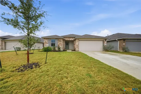 323 Elephants Ear Drive, New Braunfels, TX 78130