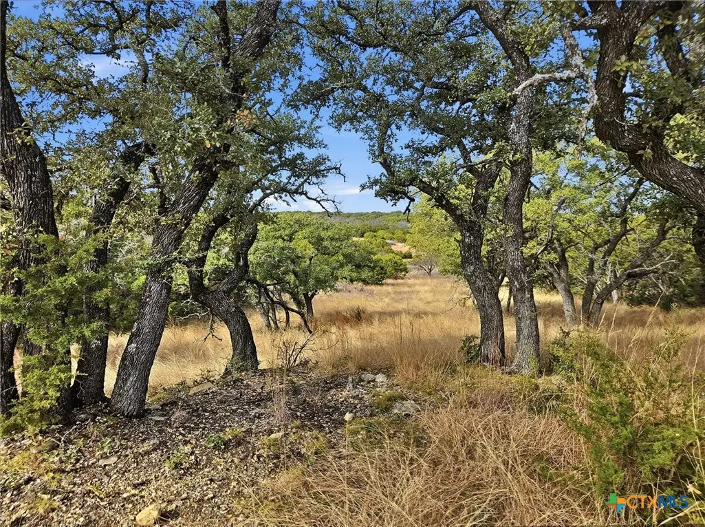 TBD County Road 162, Evant, TX 76525 - #1