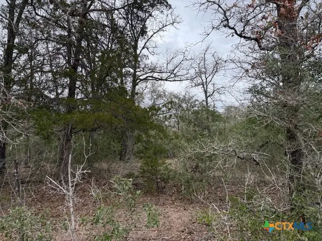 0 Fm-1447, Yoakum, TX 77995 - #3