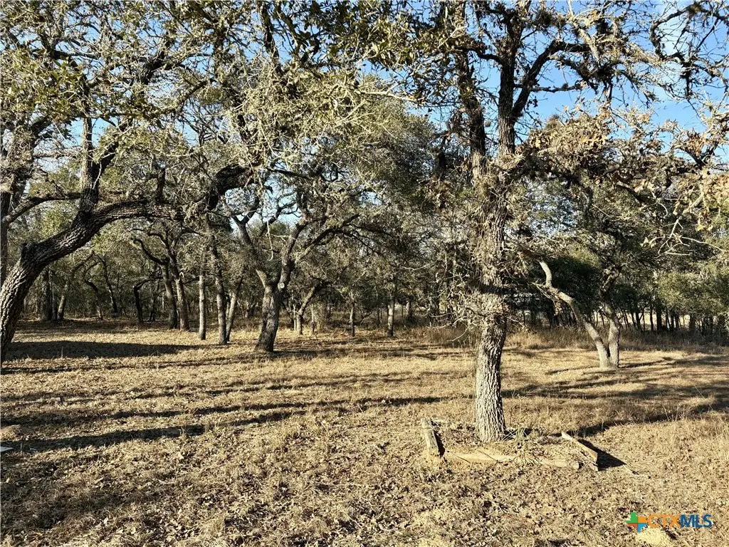 000 Private Road 1067, Hallettsville, TX 77964 - Image #1