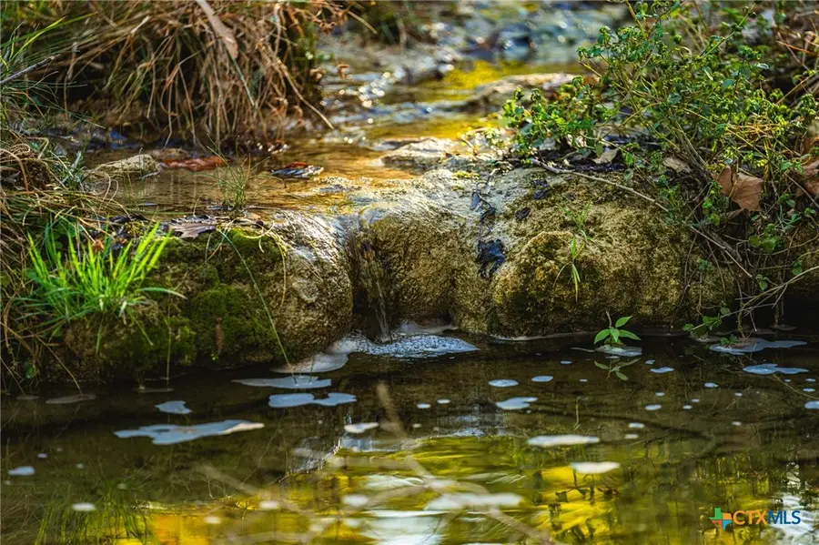 00 Fm 2843, Salado, TX 76571 - #3