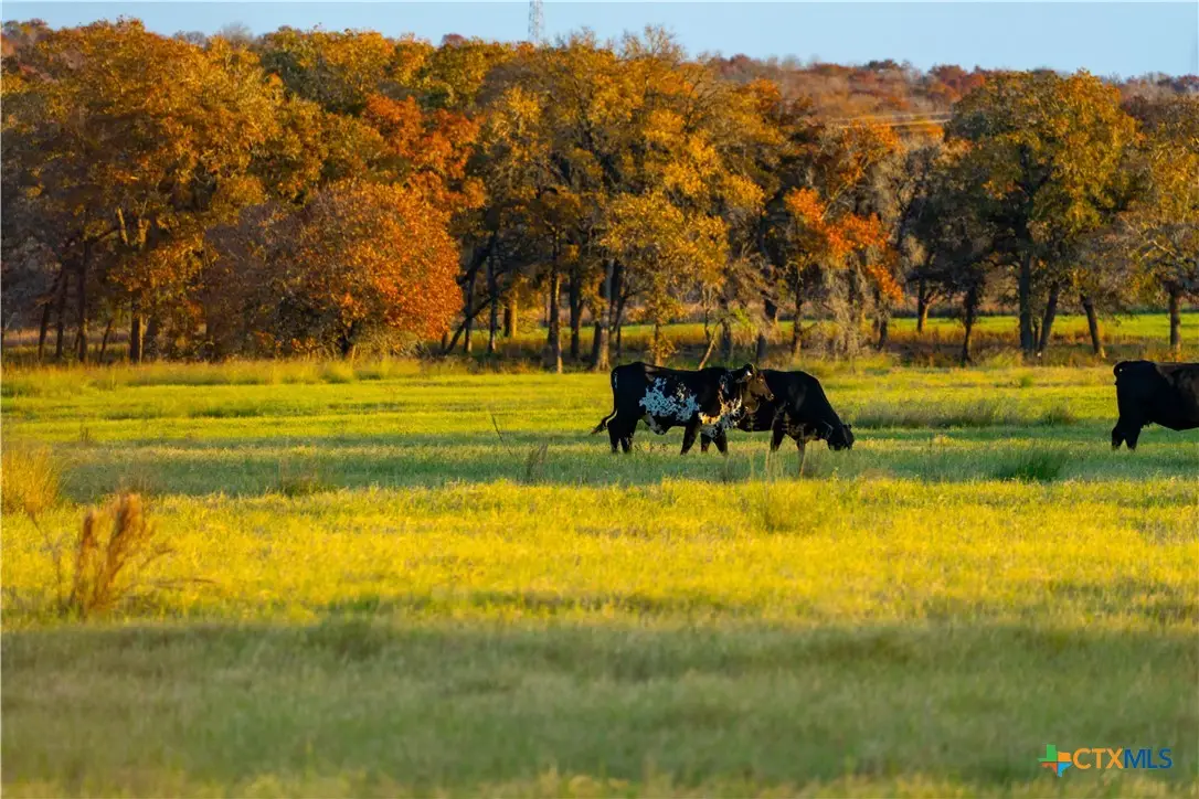 TBD Tx-123, Seguin, TX 78155 - #1