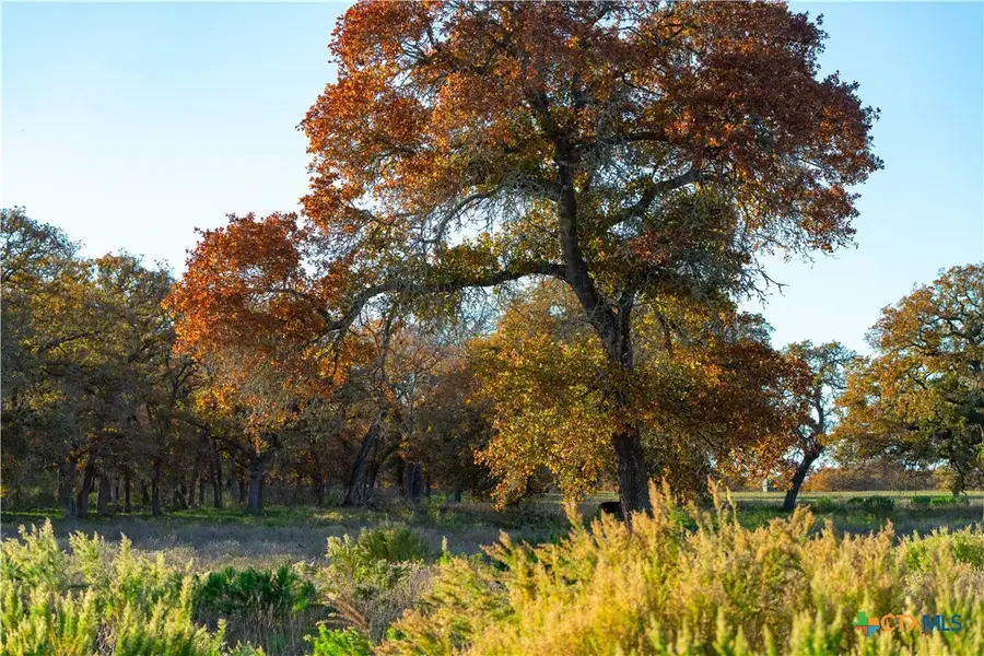 TBD Tx-123, Seguin, TX 78155 - #3