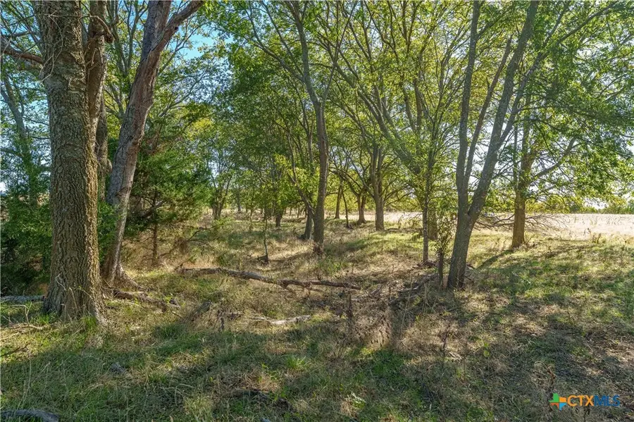 1633 Alexander Road, Moody, TX 76557 - #3