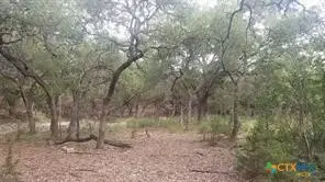 603 Copper Trace, New Braunfels, TX 78132 - Image #2