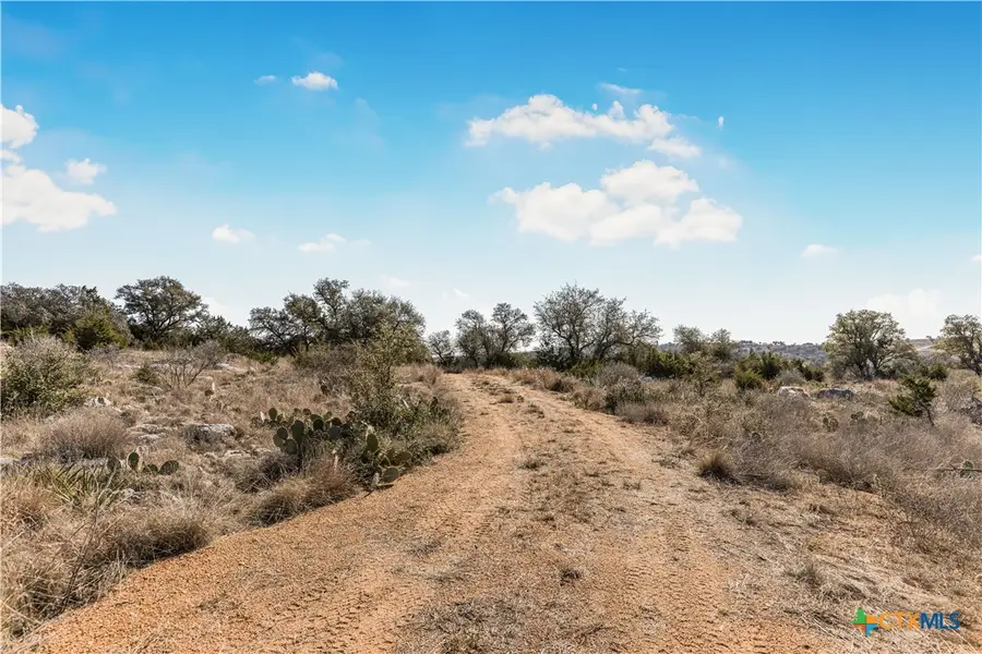 Lot 48 Inksview Lane, Kingsland, TX 78639 - #2