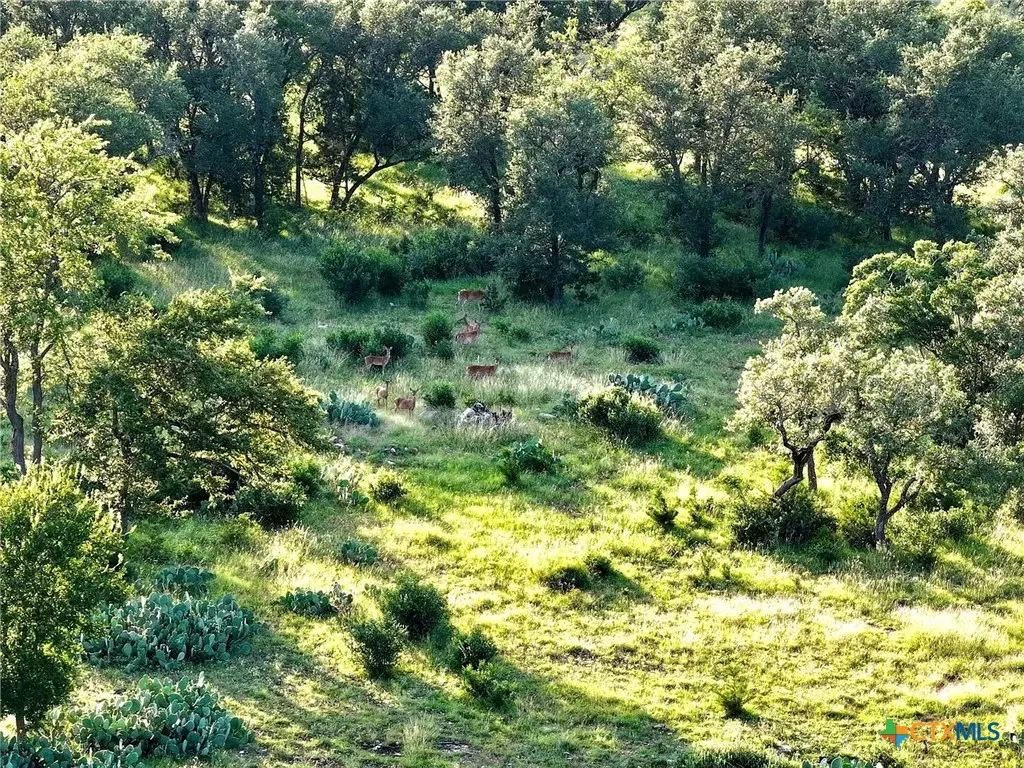 Lot 4 County Road 220, Briggs, TX 78608 - Image #1