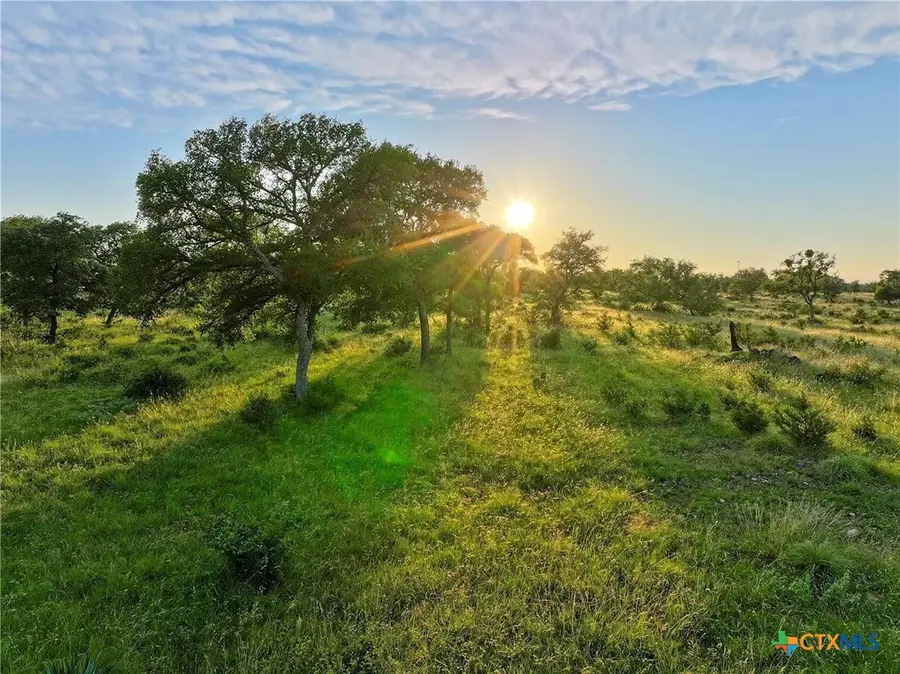 Lot 4 County Road 220, Briggs, TX 78608 - Image #3