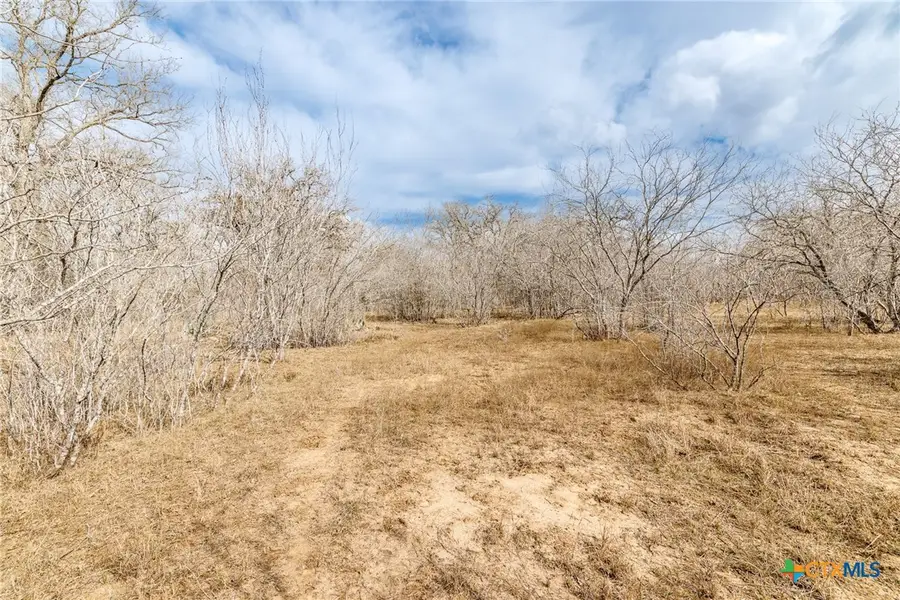 TBD County Road 424, Waelder, TX 78959 - #3