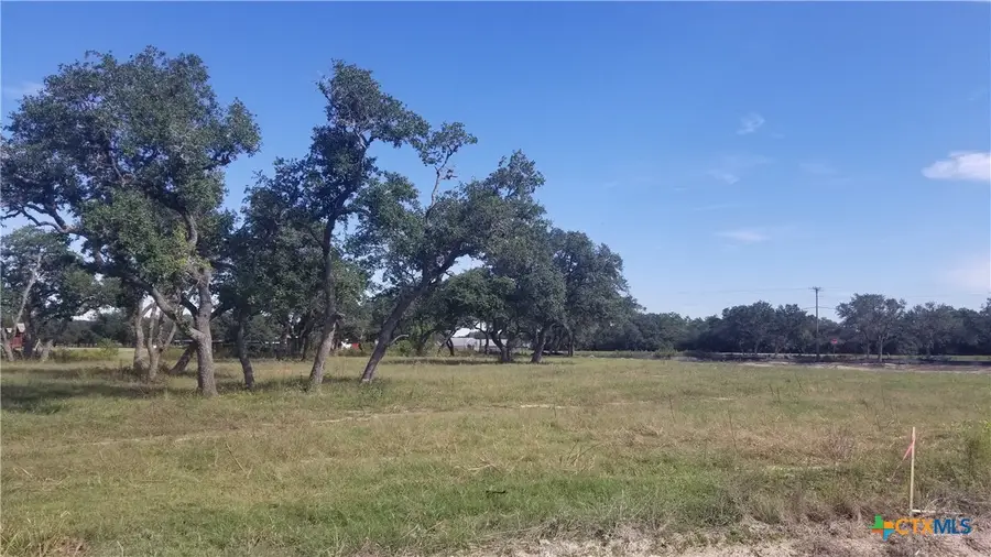 000 Enchanted Oaks, Inez, TX 77968 - #2