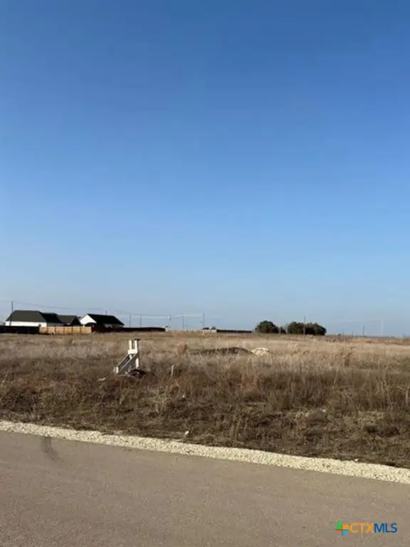 15013 Armstrong Estates Road, Salado, TX 76571 - Image #2