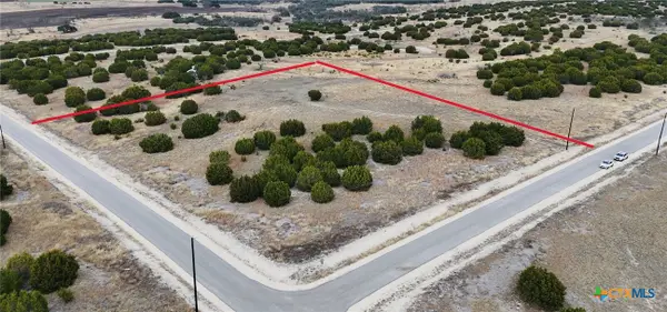 Lot 218 Heartleaf/winecup Drive, Lampasas, TX 76550
