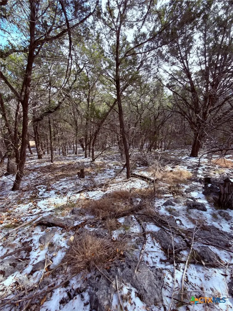 311 Serenity Pass, Spring Branch, TX 78070 - #3