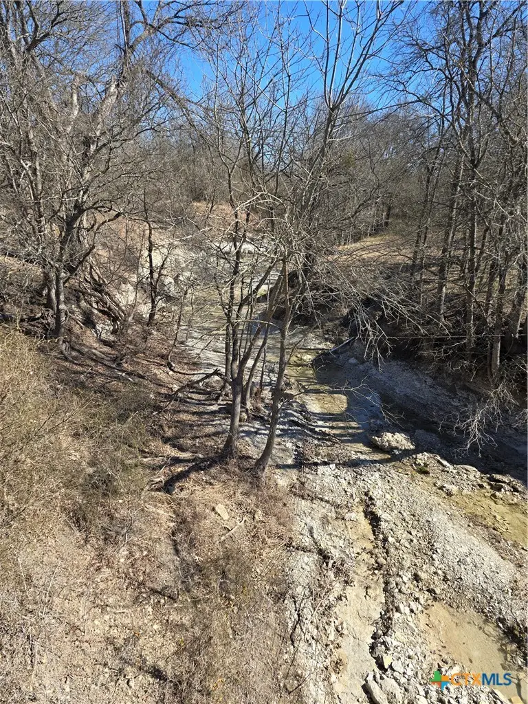 16251 S Romberg Road, Holland, TX 76534 - #1