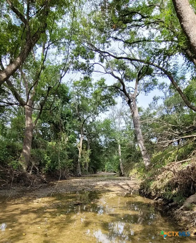 15010 Rosanky Road, Holland, TX 76534 - #3