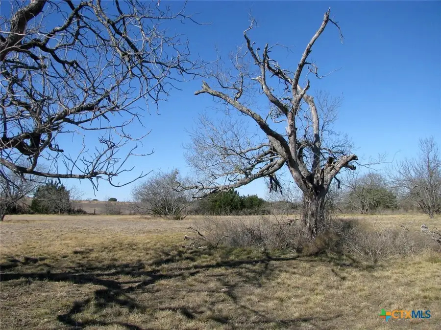 TBD Lot 4 Old Pidcoke Road, Gatesville, TX 76528 - #2