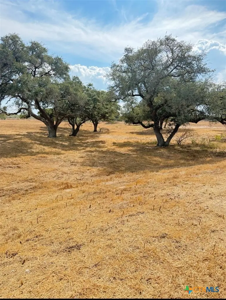 1709 Fm 318, Yoakum, TX 77995 - #2