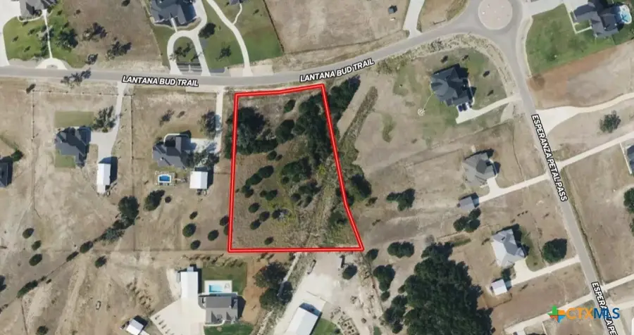 220 Lantana Bud Trail, Liberty Hill, TX 78642 - #3