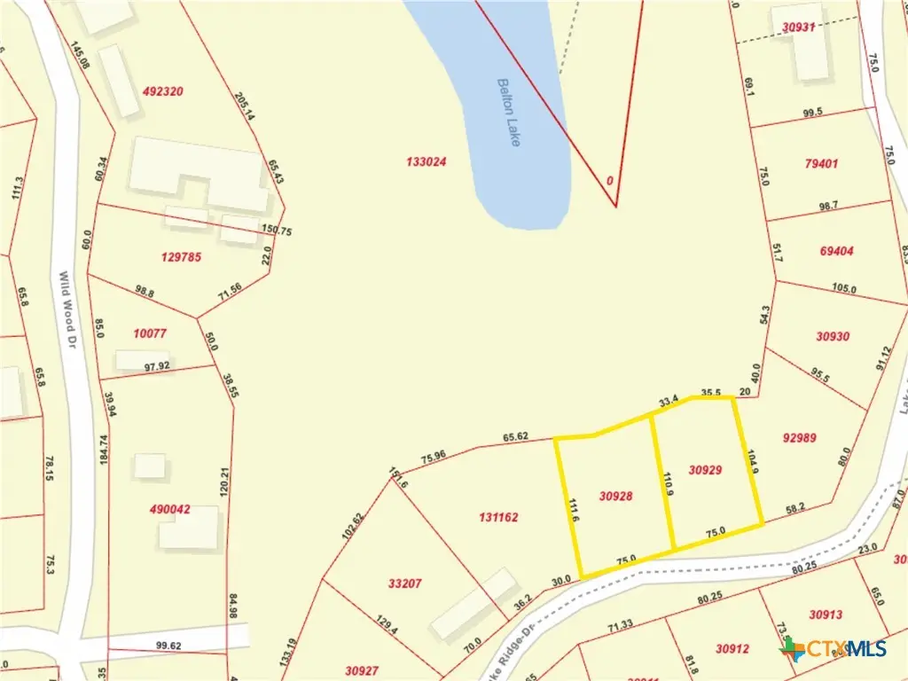 3674 & 3680 Lake Ridge Drive, Belton, TX 76513 - #1