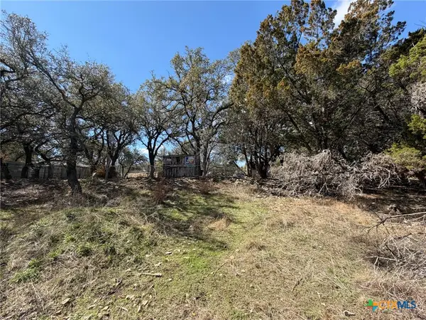 613 Royal Oak Drive, Canyon Lake, TX 78133