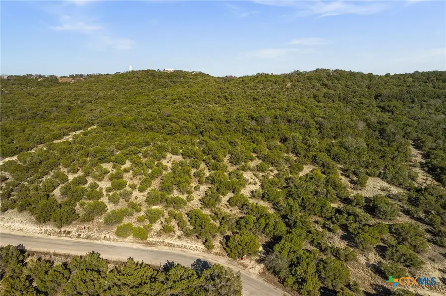 10678 Deer Canyon Road, Jonestown, TX 78645 - #3