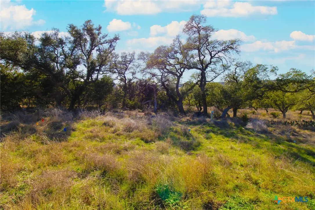 436 Cavy Road, New Braunfels, TX 78132 - #1