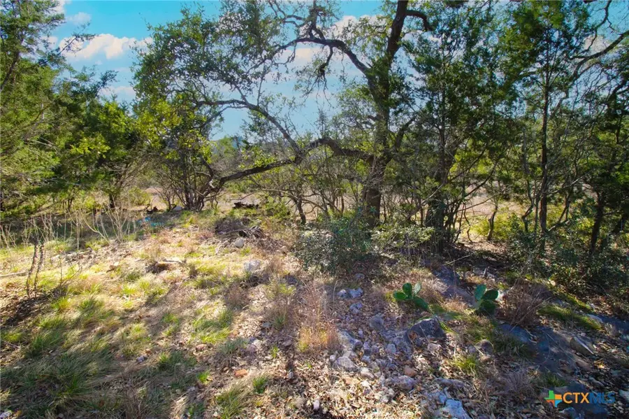 436 Cavy Road, New Braunfels, TX 78132 - #2