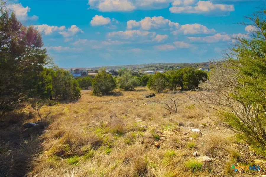 436 Cavy Road, New Braunfels, TX 78132 - #3