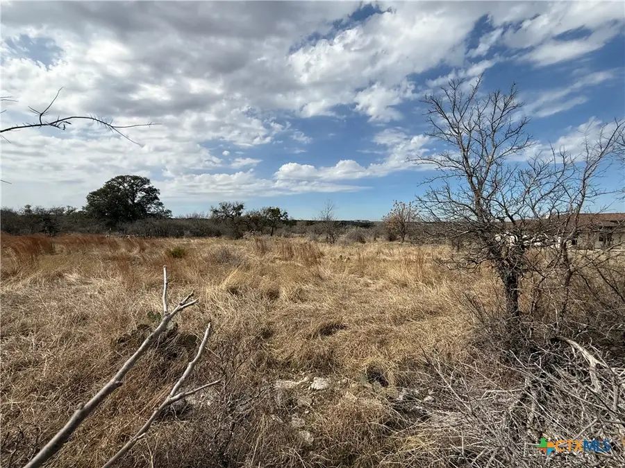 138 Strada Luca, Florence, TX 76527 - #2