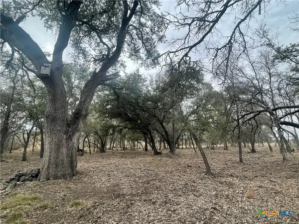 13203 Pr 3642 #52, Lampasas, TX 76550