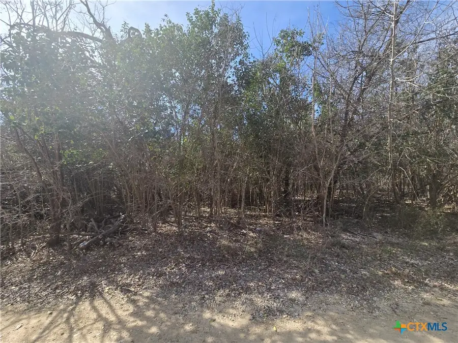 TBD Estate Trail, Belton, TX 76513 - #2
