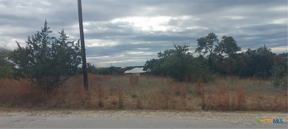 106 Jacob Dearing, Blanco, TX 78606 - #1