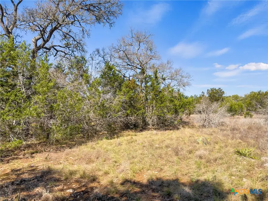 535 Left Fork Place, Spring Branch, TX 78070 - #2