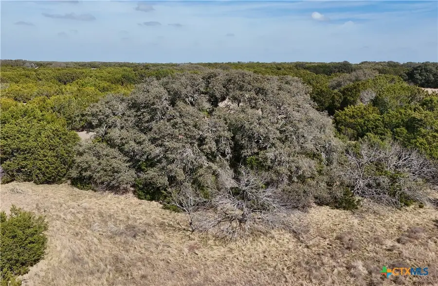 Lot 10 Stargazer Drive, Lampasas, TX 76550 - #3
