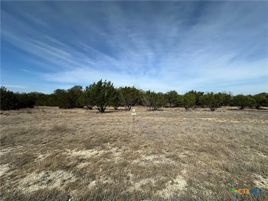 Lot 19 Burnet Oaks Drive, Burnet, TX 78611 - #2