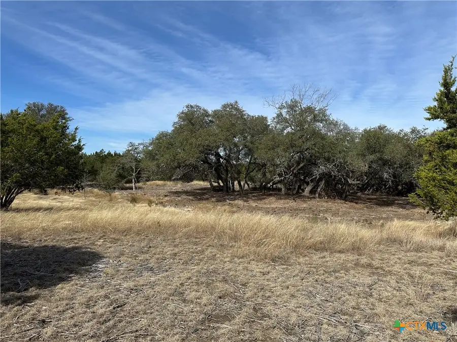 Lot 19 Burnet Oaks Drive, Burnet, TX 78611 - #3