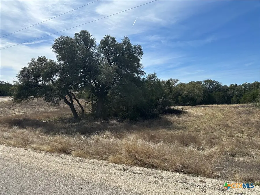 Lot 49 Burnet Oaks Drive, Burnet, TX 78611 - #3