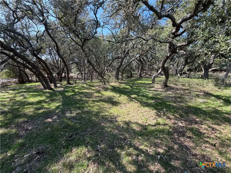 2883 Wegner Road, New Braunfels, TX 78132 - #2