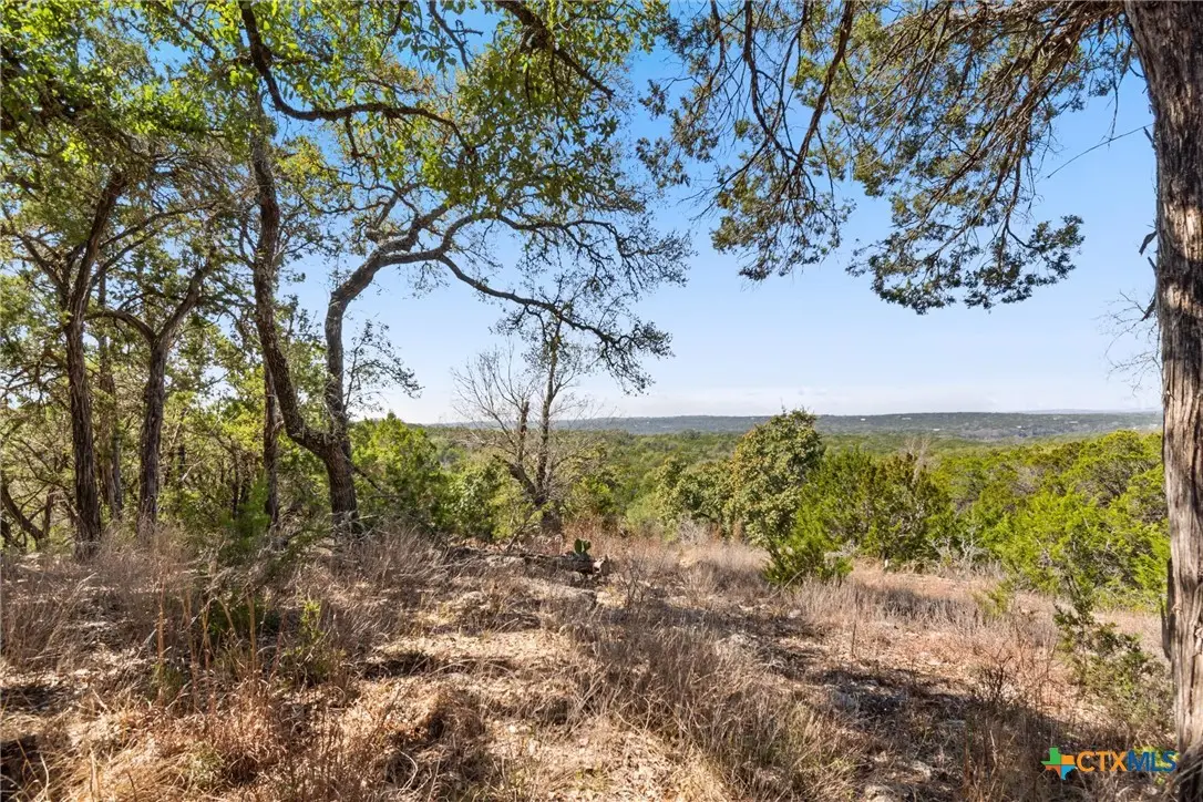 411 Circle Drive, Wimberley, TX 78676 - #1