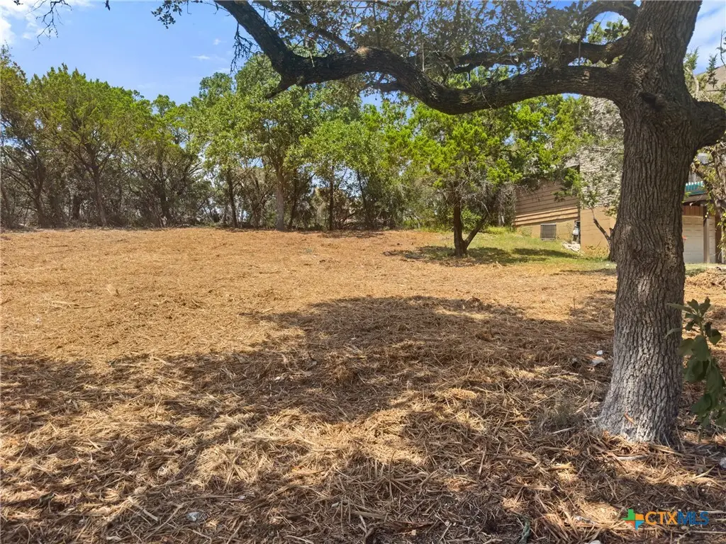 1107 High Point Lane, Spring Branch, TX 78070 - #1