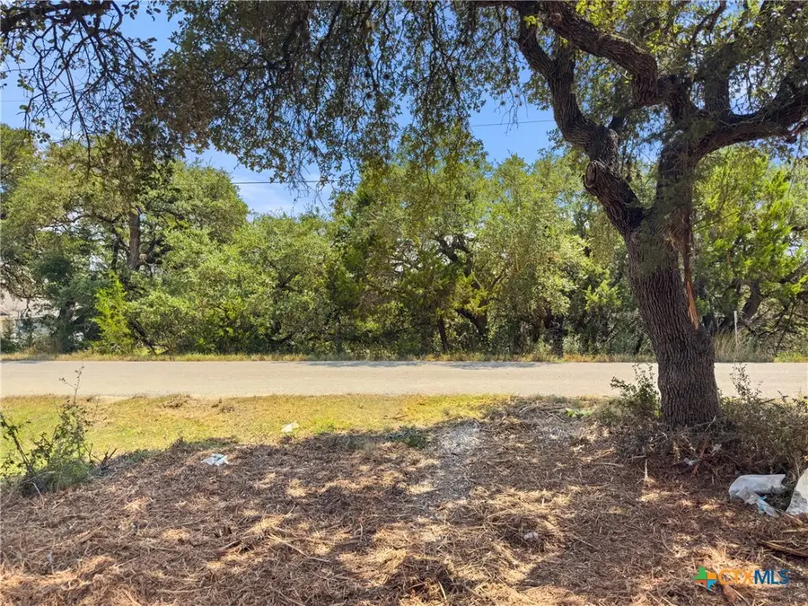 1107 High Point Lane, Spring Branch, TX 78070 - #3