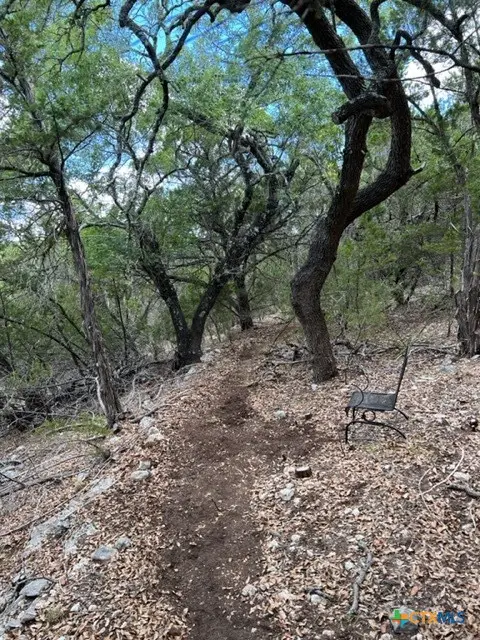 1025 Flaman Road, Canyon Lake, TX 78133 - #2