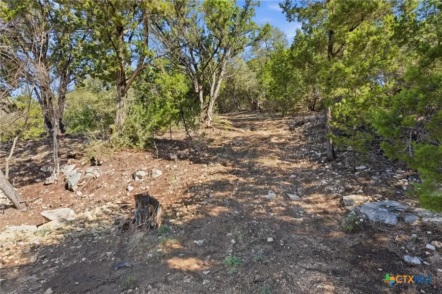 1025 Flaman Road, Canyon Lake, TX 78133 - #3