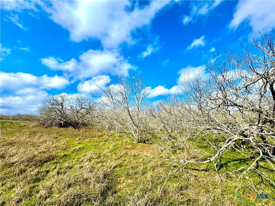 1118 Cr 447, Waelder, TX 78959 - #3