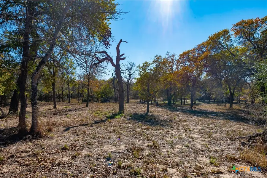 12851 Fm 1117, Seguin, TX 78155 - #3