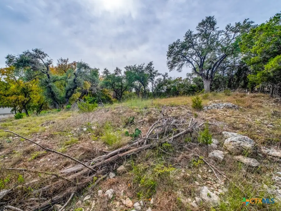 112 Woodacre Drive, Wimberley, TX 78676 - #3