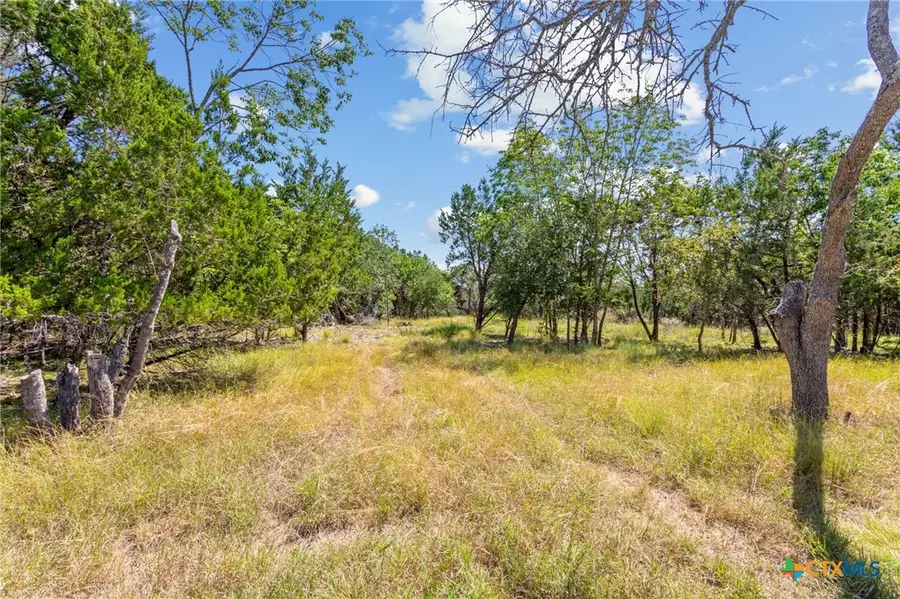 8390 Mountain Drive, Salado, TX 76571 - #3