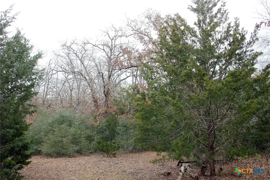 8729 E Fm 20, Dale, TX 78616 - #3