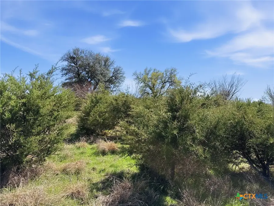 Lot 17 Ph 1 Pr 4218, Evant, TX 76525 - #3